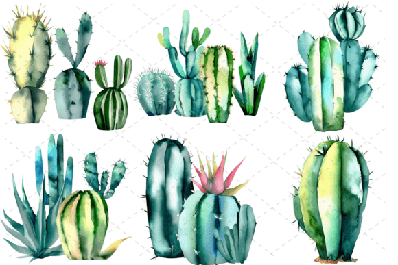 Download 6 Watercolor Cactus PNG Clipart Bundle - Watercolor cactus Collection
