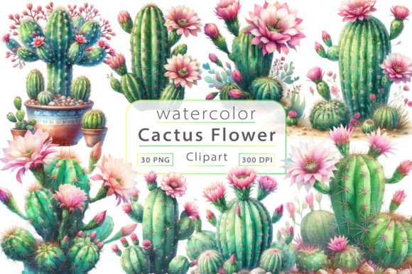 Download Watercolor Cactus Sublimation Clipart - Watercolor cactus Collection