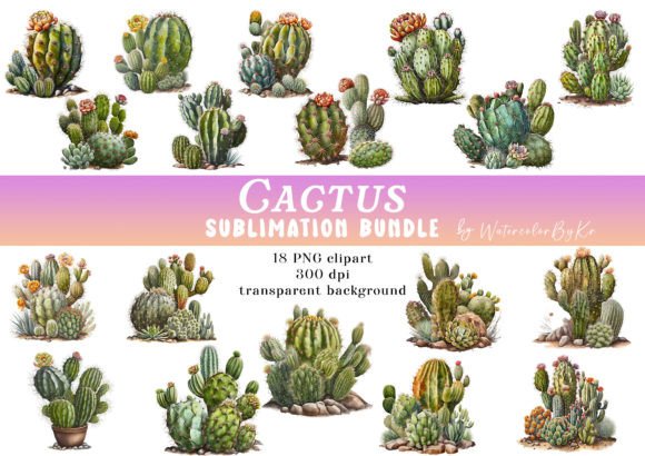 Download Watercolor Cactus Bundle PNG Clipart - Watercolor cactus Collection